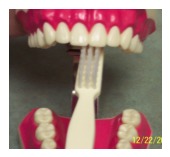 brushing-technique1