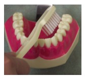 brushing-technique2