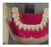 brushing-technique3